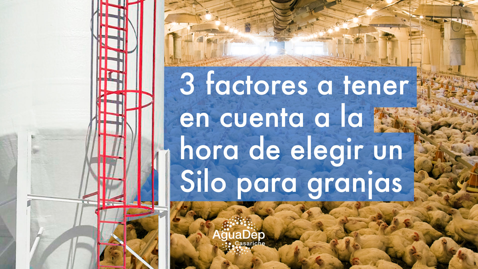 3 factores a tener en cuenta a la hora de elegir un Silo para granjas 