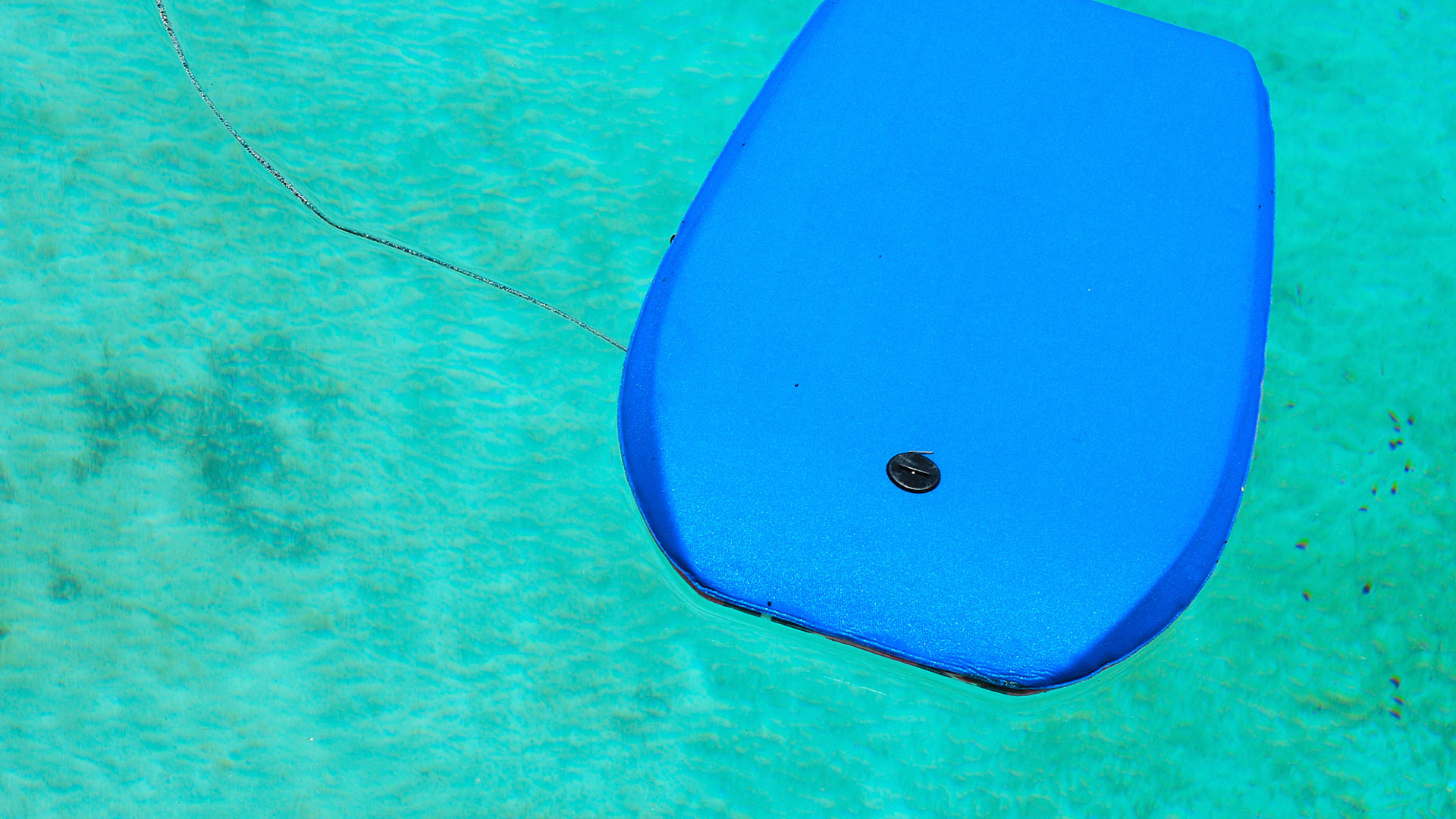 La importancia de limpiar la superficie de tu piscina